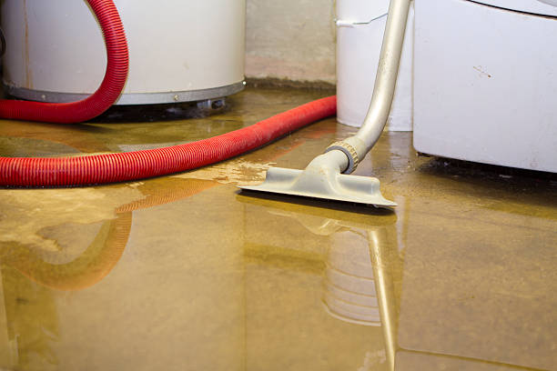 Best Water damage restoration company  in Florence, AL