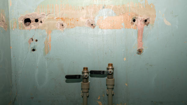 Best Sewage cleanup and water damage restoration  in Florence, AL