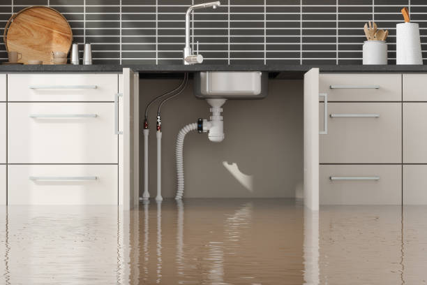 Best Basement water damage restoration  in Florence, AL