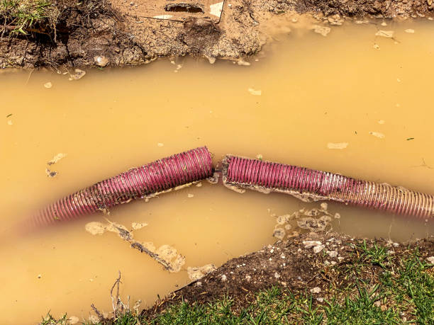 Best Water damage restoration specialists  in Florence, AL