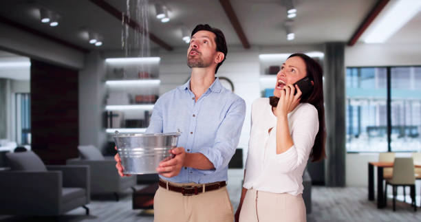 Best Ceiling water damage repair  in Florence, AL