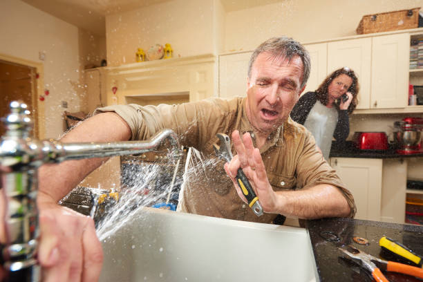 Best Flood damage cleanup  in Florence, AL